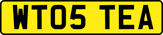 WT05TEA