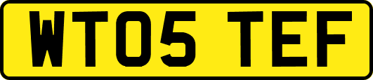 WT05TEF