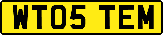 WT05TEM
