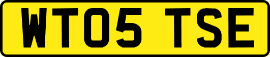 WT05TSE