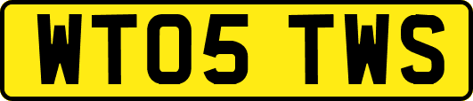 WT05TWS