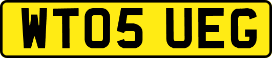 WT05UEG
