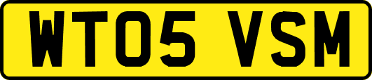WT05VSM