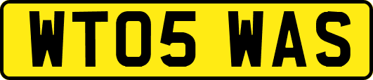 WT05WAS