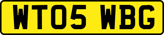 WT05WBG