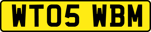 WT05WBM