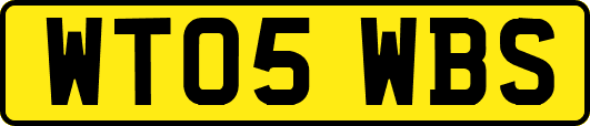 WT05WBS