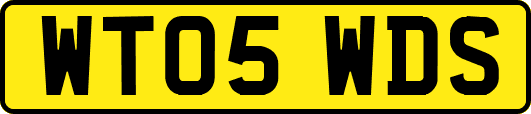 WT05WDS