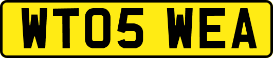 WT05WEA