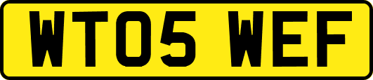 WT05WEF
