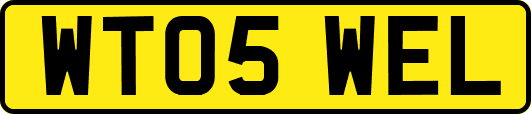 WT05WEL