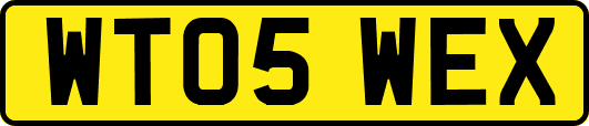 WT05WEX