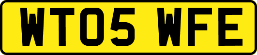 WT05WFE