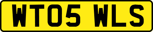 WT05WLS