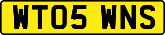 WT05WNS