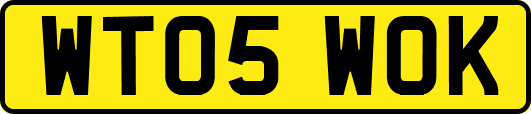 WT05WOK