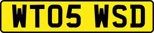 WT05WSD