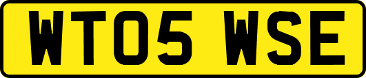 WT05WSE