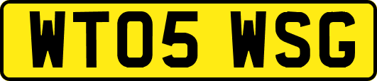 WT05WSG