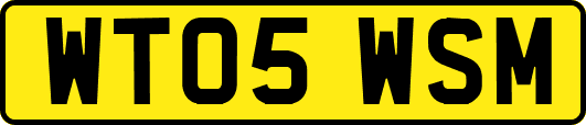 WT05WSM