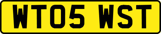WT05WST