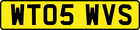 WT05WVS