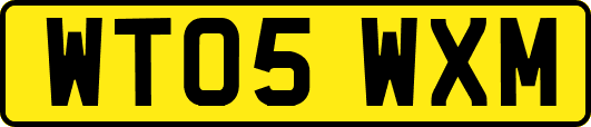 WT05WXM