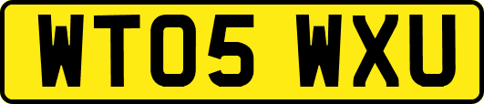 WT05WXU