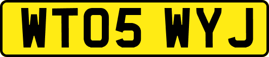 WT05WYJ