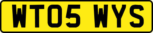 WT05WYS