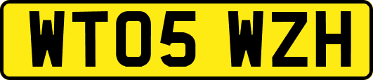WT05WZH