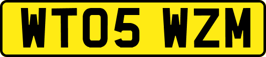 WT05WZM