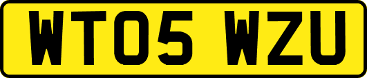 WT05WZU