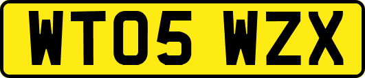 WT05WZX