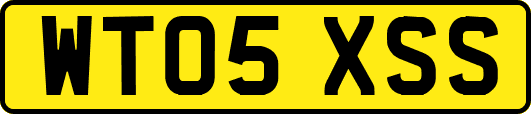 WT05XSS