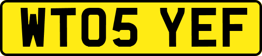 WT05YEF