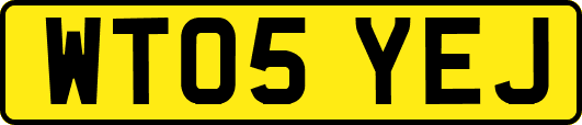 WT05YEJ