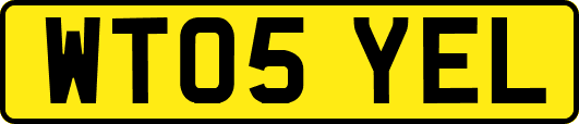 WT05YEL