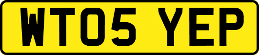 WT05YEP
