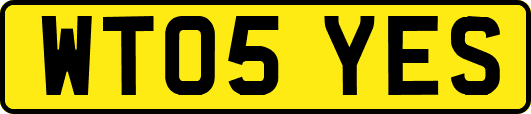 WT05YES
