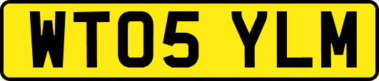 WT05YLM