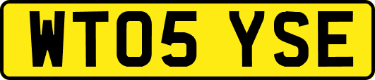 WT05YSE