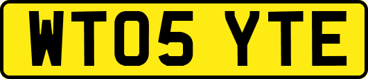 WT05YTE