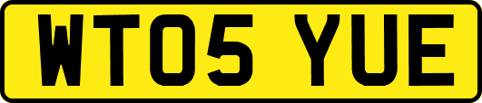 WT05YUE