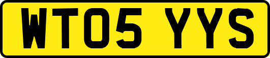 WT05YYS