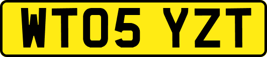WT05YZT