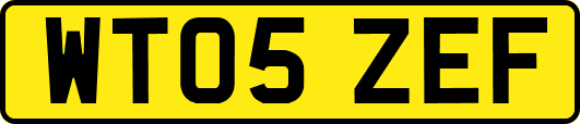 WT05ZEF
