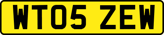WT05ZEW