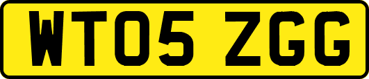 WT05ZGG