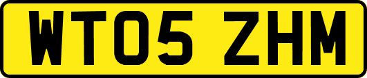 WT05ZHM